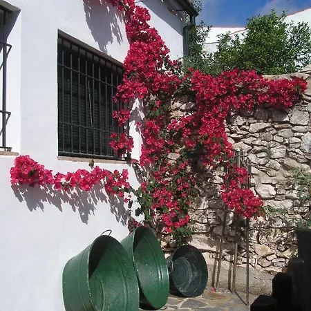 Casa Rural y Restaurante Casa Adriano-3
